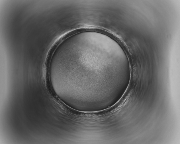 X0000093501319200711021002