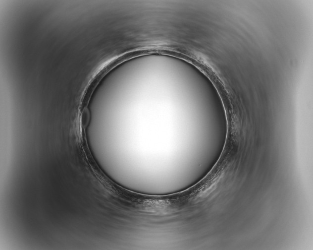 X0000093501320200711021002
