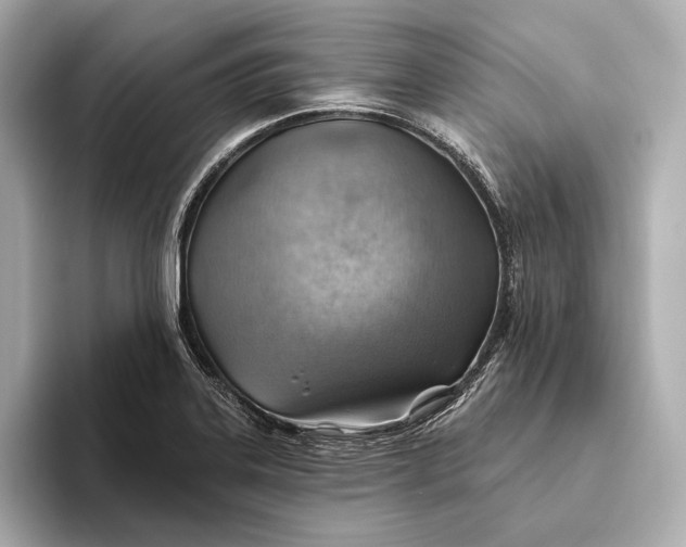 X0000093501323200711021003