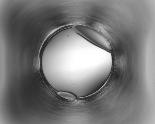 X0000093501324200711021003