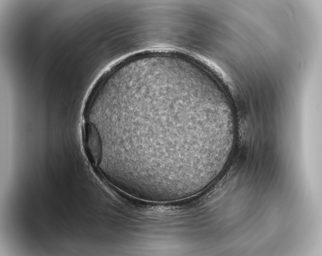 X0000093501327200711021003
