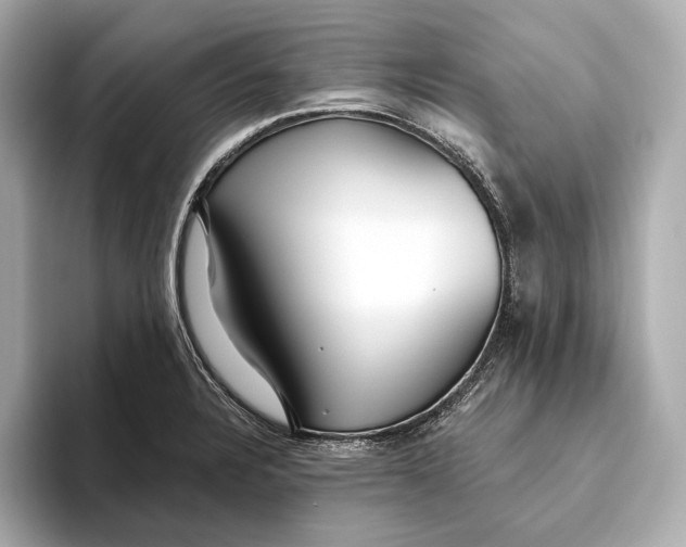 X0000093501328200711021003
