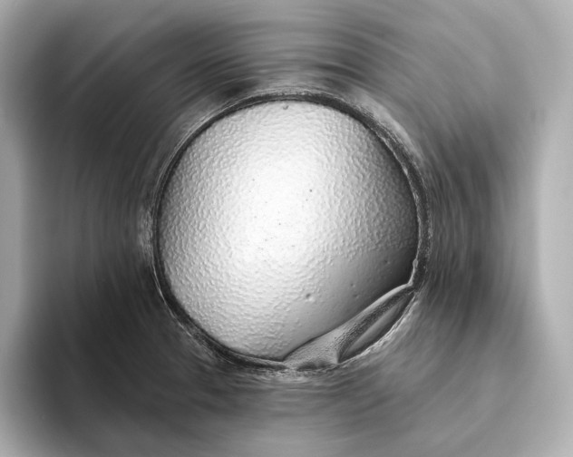 X0000093501329200711021003