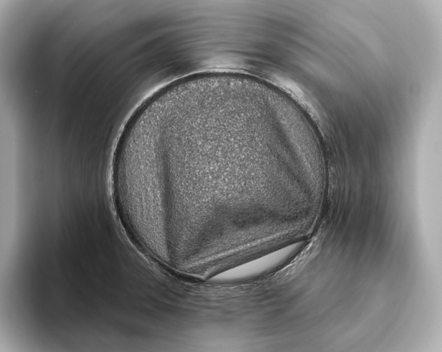 X0000093501331200711021003