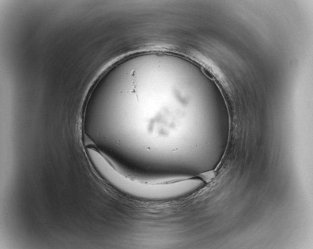 X0000093501332200711021003