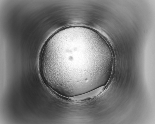 X0000093501333200711021003
