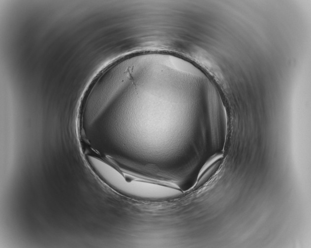 X0000093501334200711021003