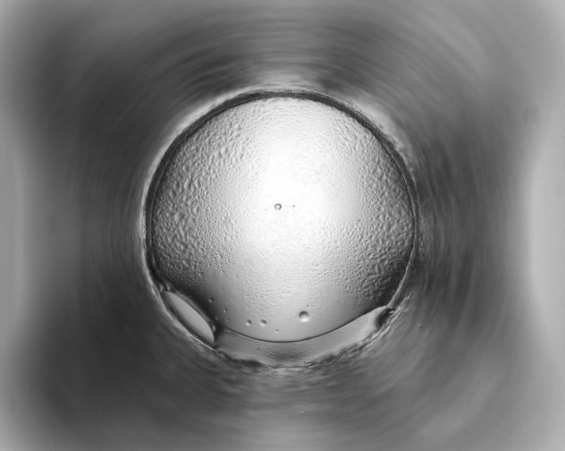 X0000093501335200711021003