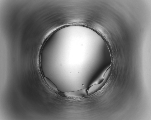 X0000093501336200711021003