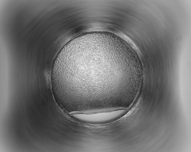 X0000093501337200711021003