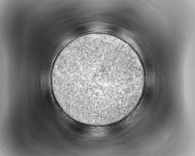 X0000093501338200711021003