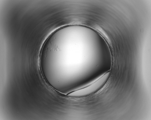 X0000093501340200711021003