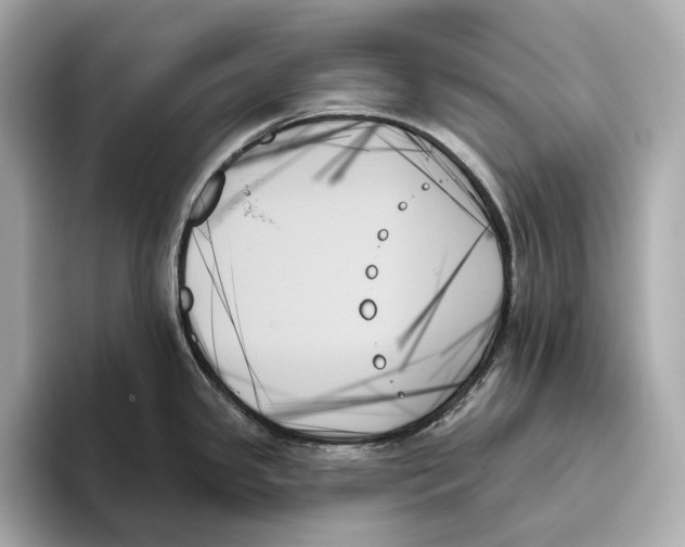 X0000093501341200711021003