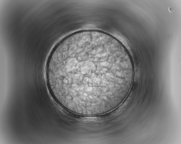 X0000093501342200711021003