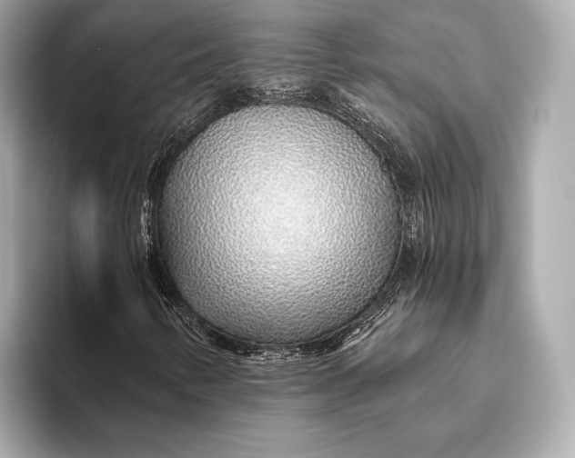 X0000093501346200711021002