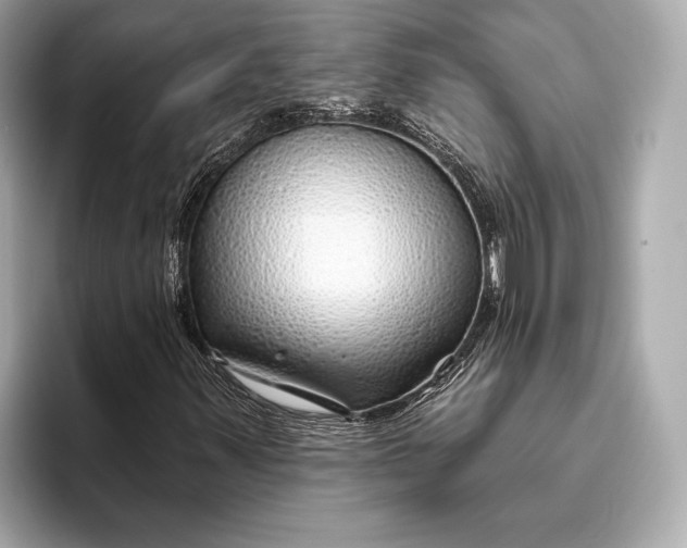 X0000093501347200711021002