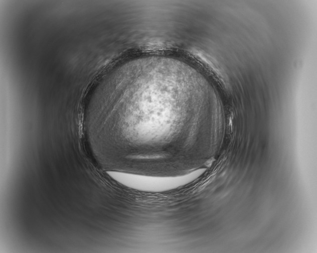 X0000093501348200711021002