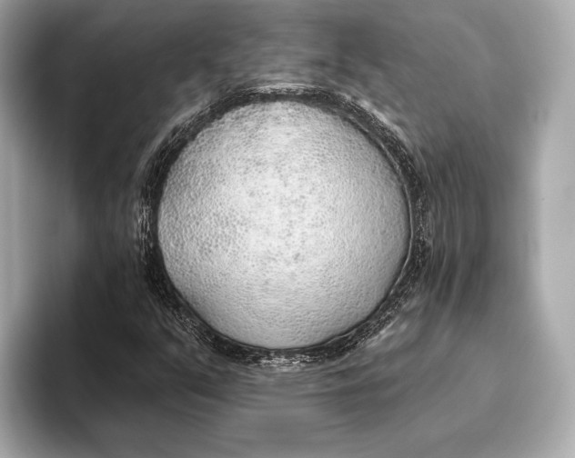 X0000093501351200711021002