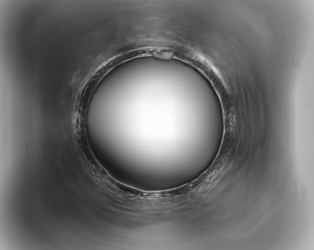 X0000093501352200711021002