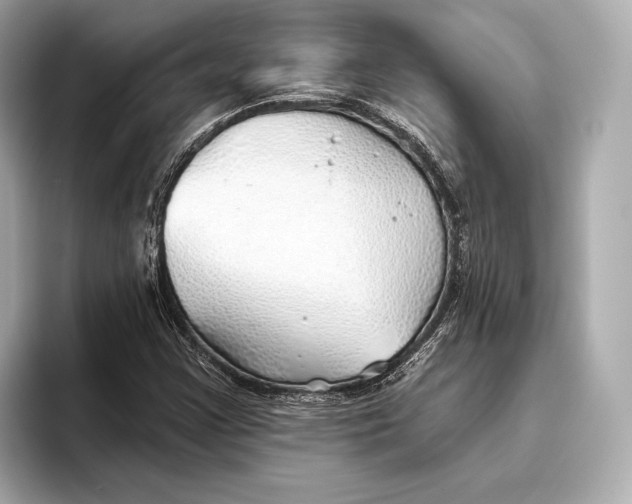 X0000093501355200711021002