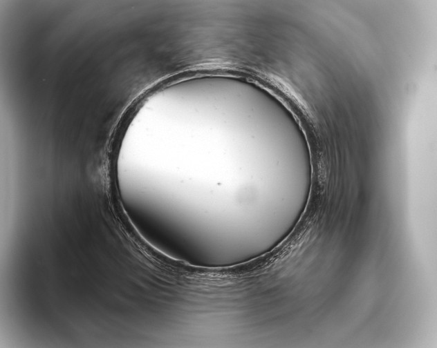 X0000093501356200711021002