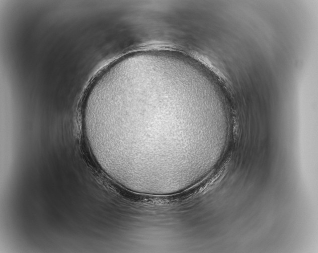 X0000093501358200711021002