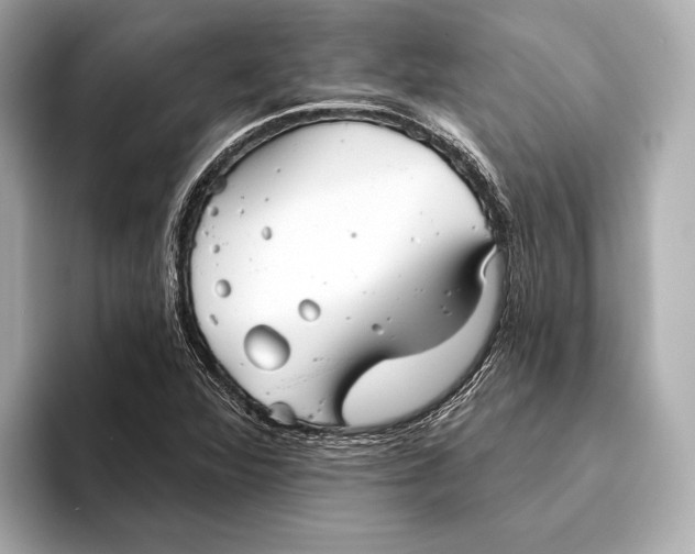 X0000093501360200711021002