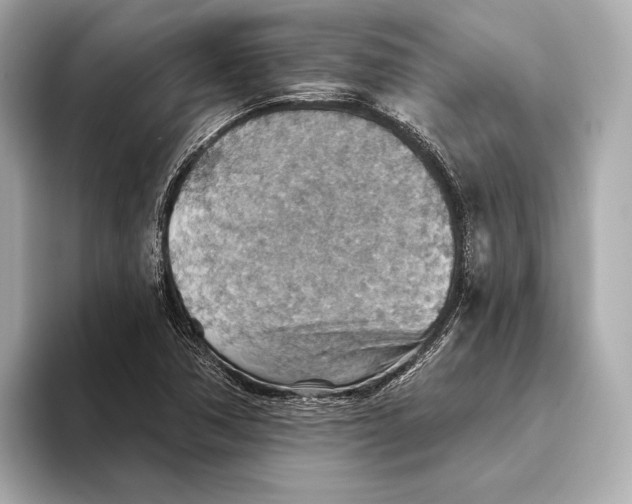 X0000093501362200711021002
