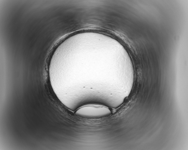 X0000093501363200711021002