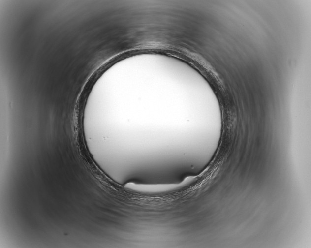 X0000093501364200711021002