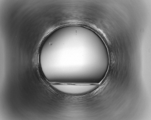 X0000093501365200711021002