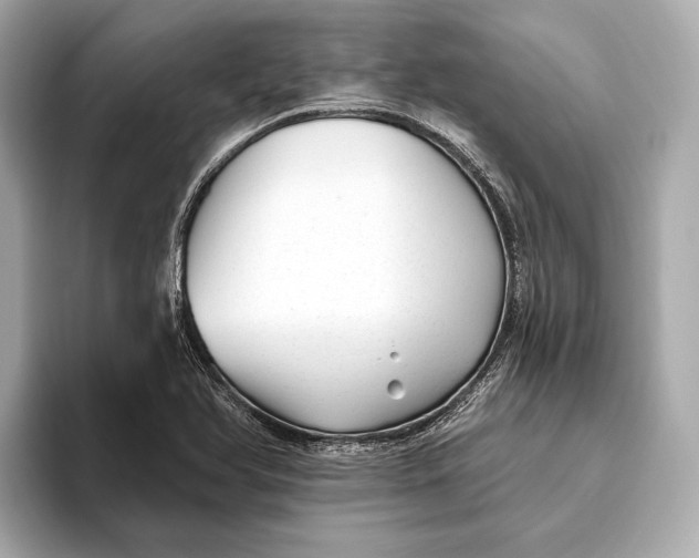 X0000093501366200711021002