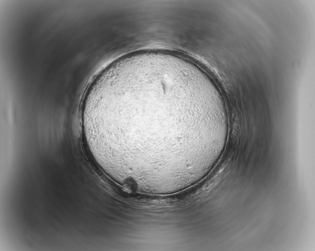 X0000093501367200711021002