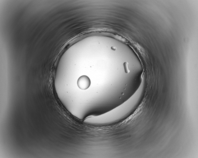 X0000093501369200711021002