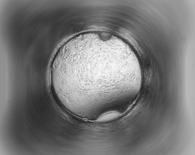 X0000093501371200711021002