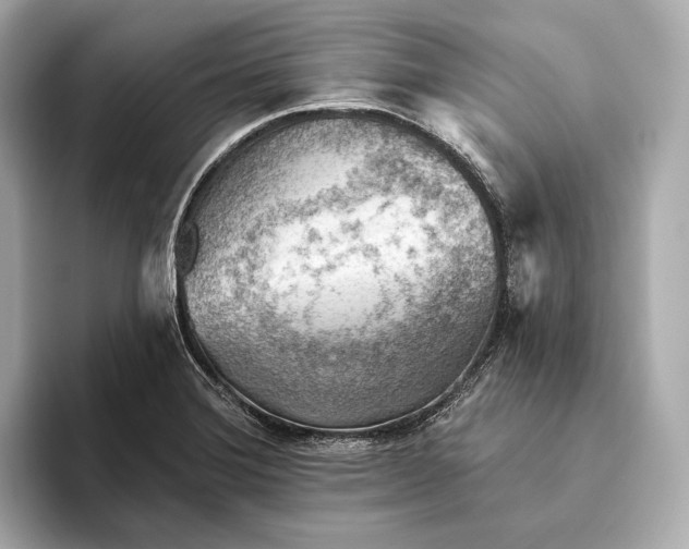 X0000093501372200711021002