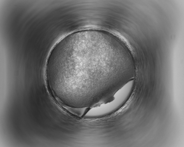 X0000093501373200711021002