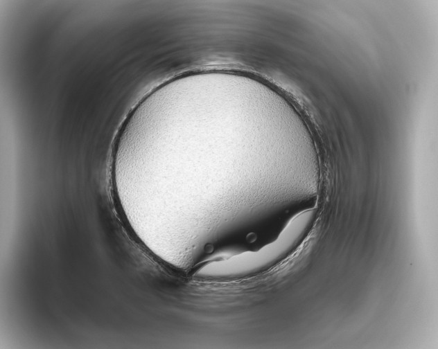 X0000093501374200711021002