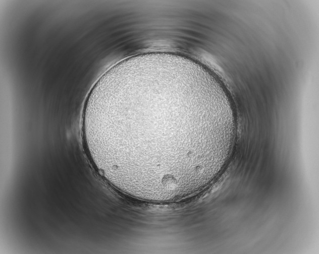 X0000093501378200711021002