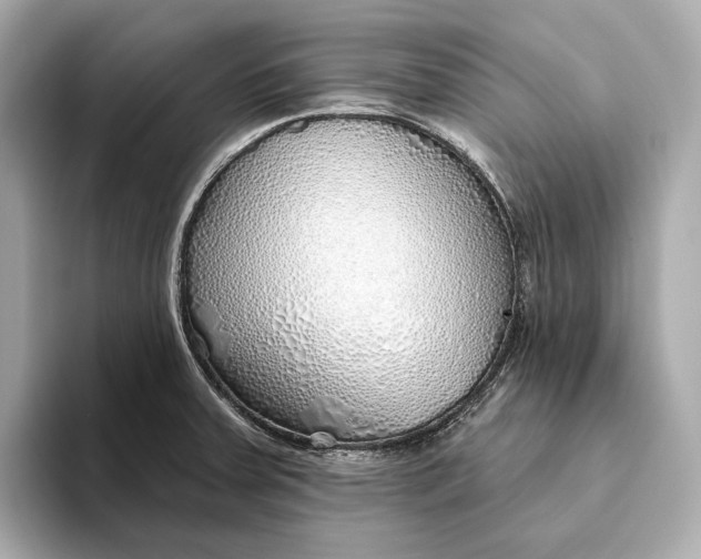 X0000093501379200711021002