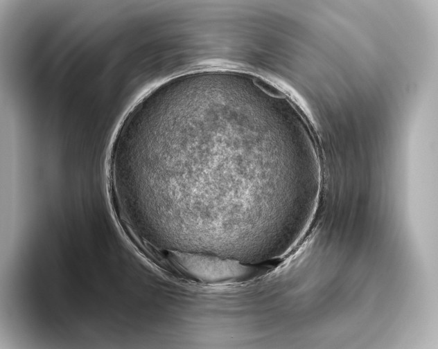 X0000093501381200711021002
