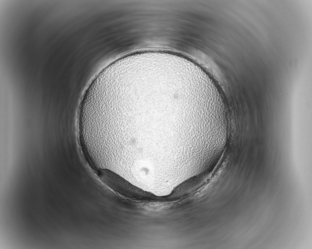 X0000093501382200711021002
