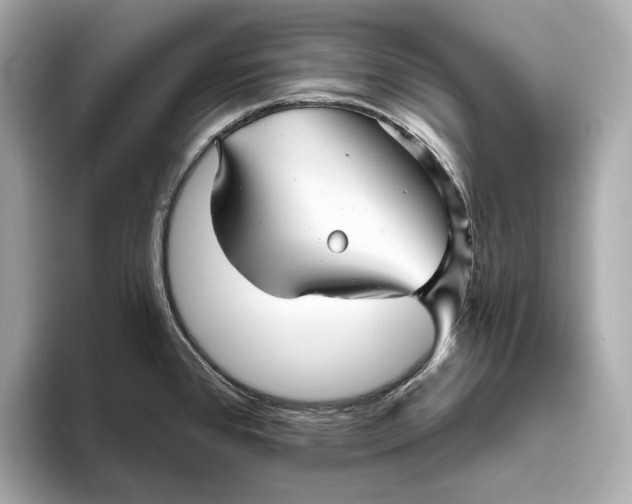 X0000093501384200711021002