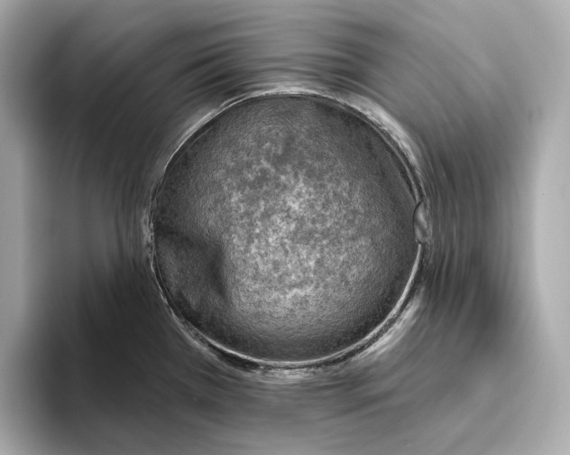 X0000093501385200711021002