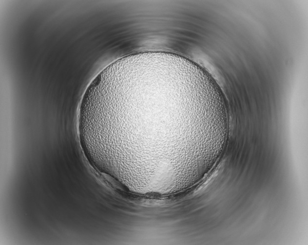 X0000093501386200711021002