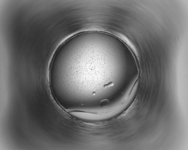 X0000093501388200711021002