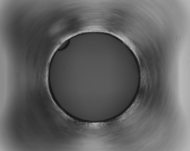 X0000093501390200711021002