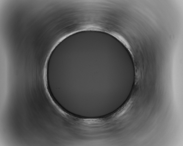 X0000093501391200711021002