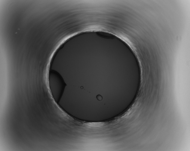 X0000093501392200711021002