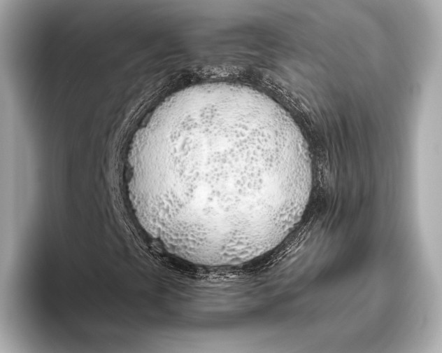 X0000093501393200711021001